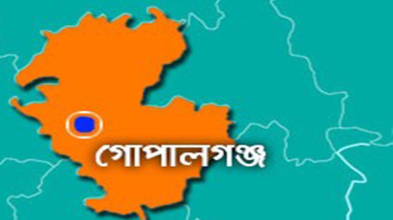 গোপালগঞ্জে নৌকার অনুপস্থিতি: বর্জনের ডাক ছাপিয়ে কেন্দ্রমুখী সাধারণ ভোটার