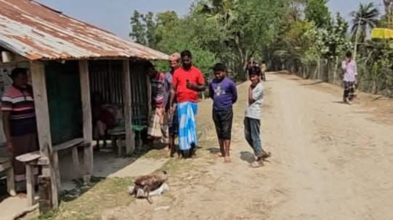 গরু চুরি করে মাংস বিক্রির সময় হাতেনাতে আটক কৃষকদল নেতা, মামলা
