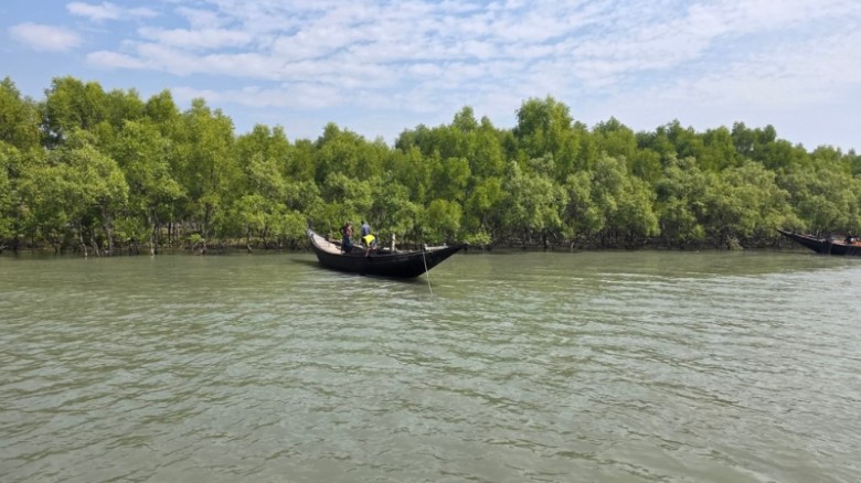 সুন্দরবনকে দস্যুমুক্ত করতে দ্রুতই যৌথ অভিযান: বন ও পরিবেশ প্রতিমন্ত্রী