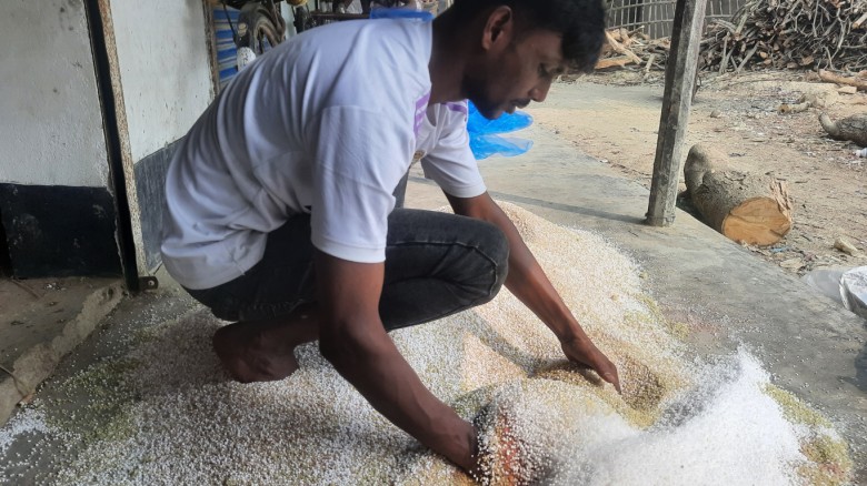 নিয়ামতপুরে সারের কৃত্রিম সংকট ও চড়া দাম: দিশেহারা বরেন্দ্র অঞ্চলের কৃষক