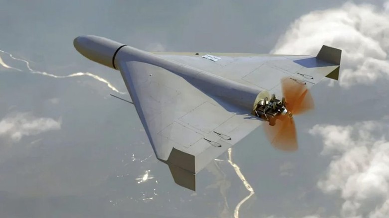 সৌদি আরবের আকাশসীমায় ৫৬ ড্রোন আটকের দাবি