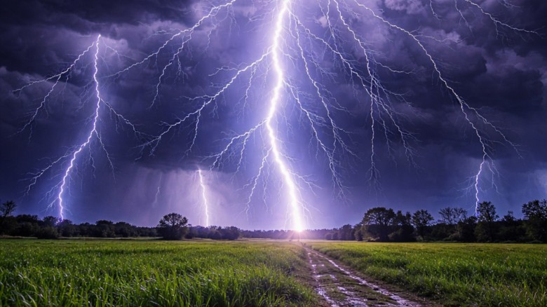 ঝিনাইদহে ক্ষেতে কাজ করার সময় বজ্রপাতে ২ শ্রমিকের মৃত্যু