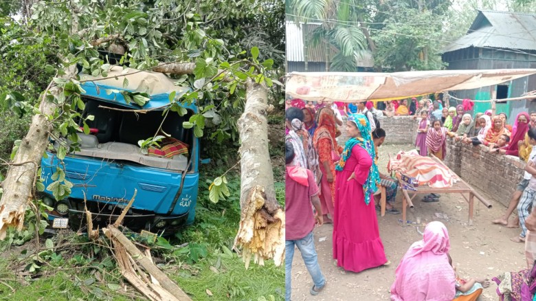 গৌরীপুরে মাছবাহী ট্রাকের ধাক্কায় অটোচালক নিহত