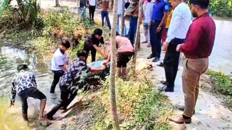 কোটালীপাড়ায় পুকুর থেকে ব্যারেল ভর্তি ডিজেল উদ্ধার