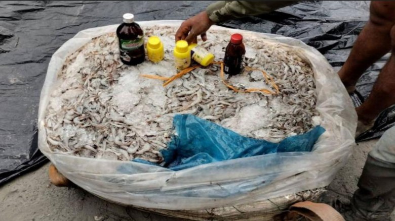 মধুমতী নদীতে বিষ ও ইলেকট্রিক শকে মাছ নিধন: বিপাকে জেলেরা