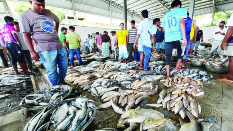 কক্সবাজারে ডিজেল সংকটের অজুহাতে মাছের দাম আকাশচুম্বী