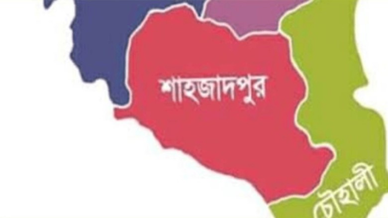 দুই সন্তানসহ গৃহবধূর আত্মহত্যার চেষ্টা