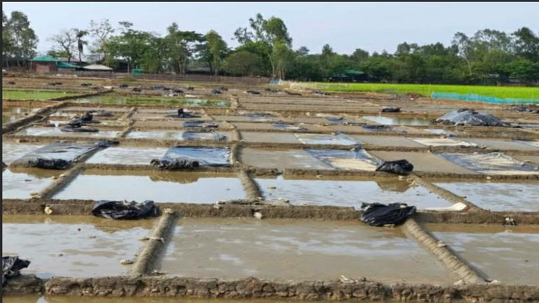 ঝড়-বৃষ্টিতে লণ্ডভণ্ড কক্সবাজারের লবণ মাঠ