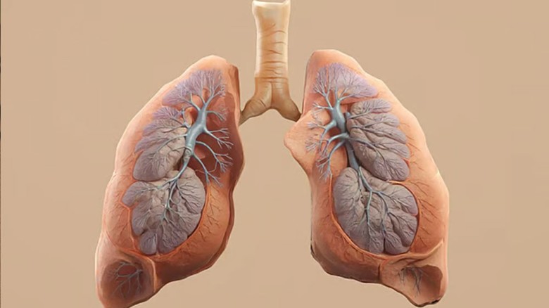 ই-সিগারেট থেকে ফুসফুস ও মুখের ক্যানসারের ঝুঁকি: নতুন গবেষণায় চাঞ্চল্যকর তথ্য