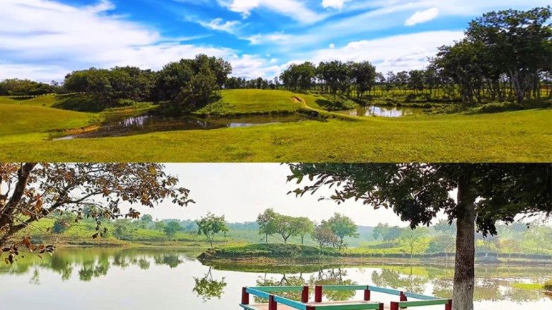 প্রকৃতিপ্রেমীদের জন্য ভ্রমণের নতুন গন্তব্য ‘ক্যামেলিয়া লেক’