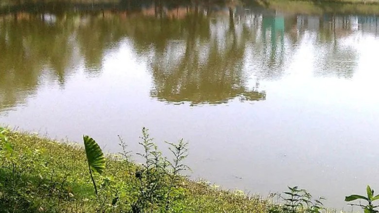 নেত্রকোনায় খেলতে গিয়ে পুকুরে ডুবে শিশুর মৃত্যু