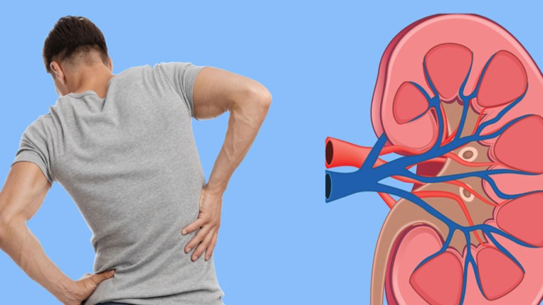 ঘরে বসেই কিডনি পরীক্ষা করার সহজ উপায়