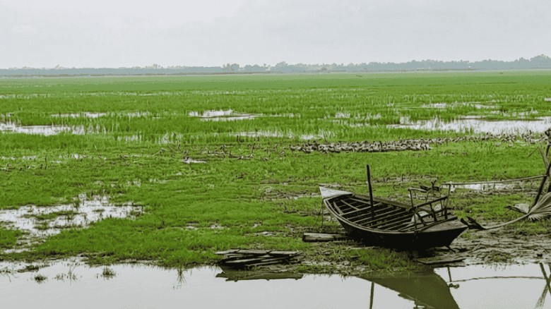 শিবচরে সেতুর অভাবে ২০ বছর ধরে দুর্ভোগ