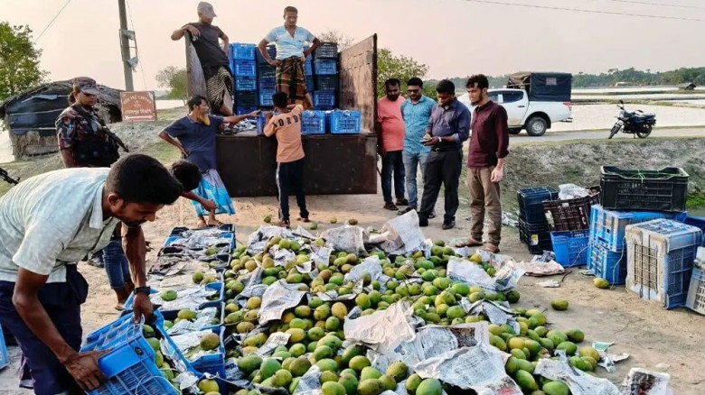 সাতক্ষীরায় বিপুল পরিমাণ রাসায়নিক মিশ্রিত আম ধ্বংস