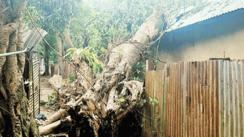 শ্রীপুরে ঝড়ের পর বিদ্যুৎহীন ৩ গ্রাম