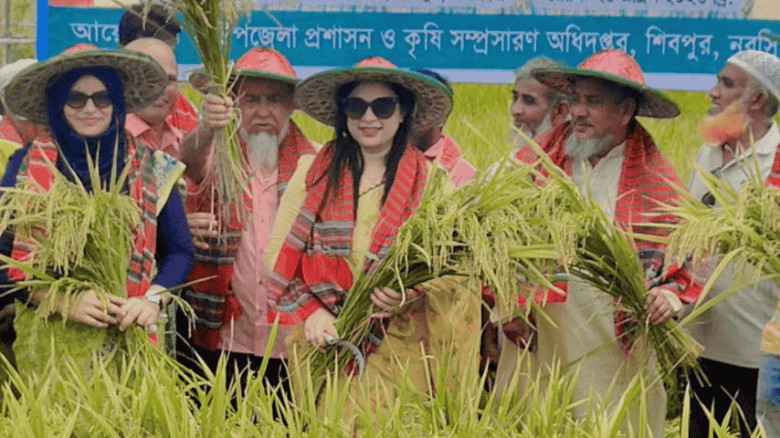 শিবপুরে বোরো ধানের নমুনা সংগ্রহ সম্পন্ন