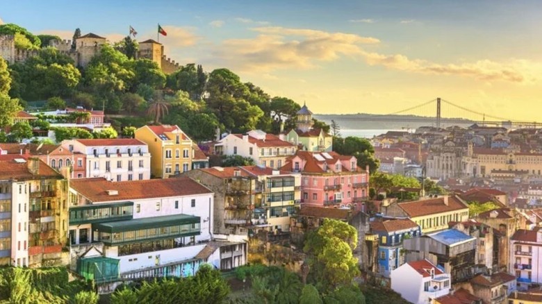 পর্তুগালে বাড়ছে বাংলাদেশিদের কাজের সুযোগ