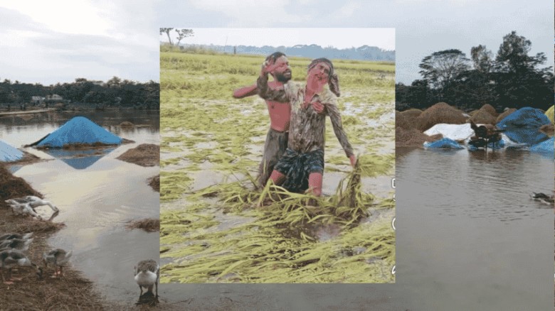 মৌলভীবাজারে ডুবছে স্বপ্ন: চাষিরা দিশেহারা