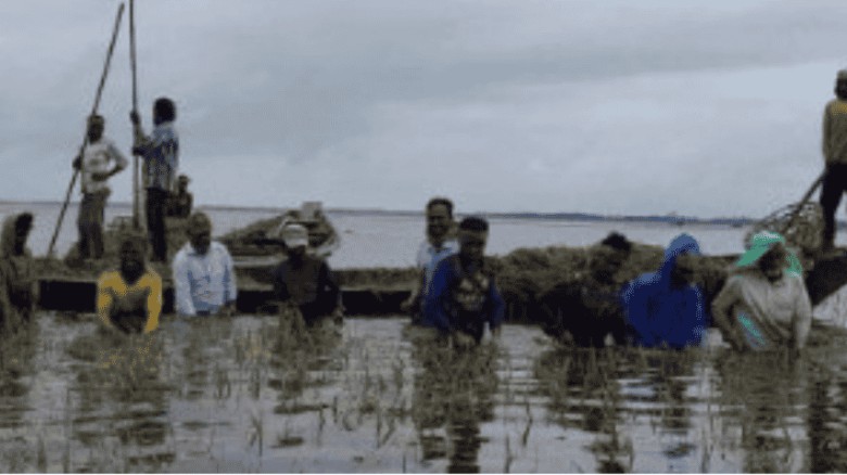 সুনামগঞ্জে তলিয়ে গেছে কৃষকের স্বপ্ন