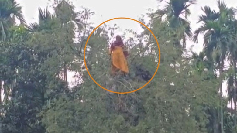 নিখোঁজ বৃদ্ধার সন্ধান মিলল তেঁতুল গাছের মগডালে, এলাকায় চাঞ্চল্য