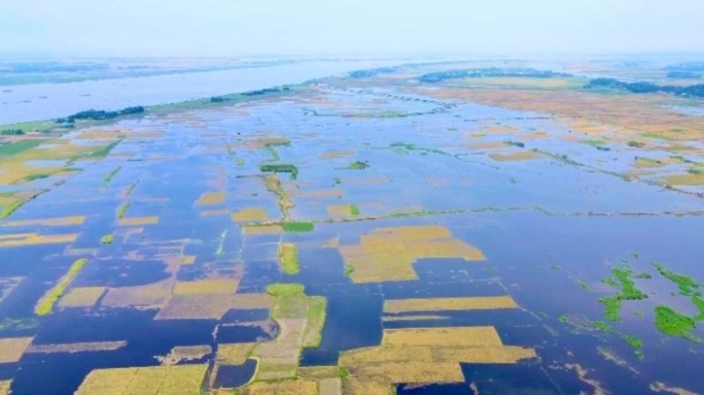 ভৈরবে বৃষ্টিতে তলিয়ে গেছে কৃষিজমি, সহায়তা চান কৃষকরা