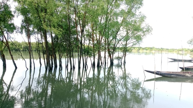 সুন্দরবনে ৯ দিনের ব্যবধানে ৮ জেলে অপহরণ