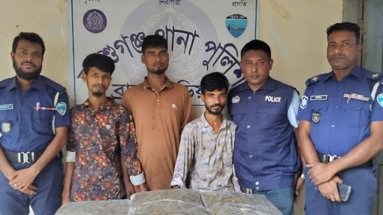আশুগঞ্জে গাঁজাসহ ৩ মাদক কারবারি গ্রেফতার