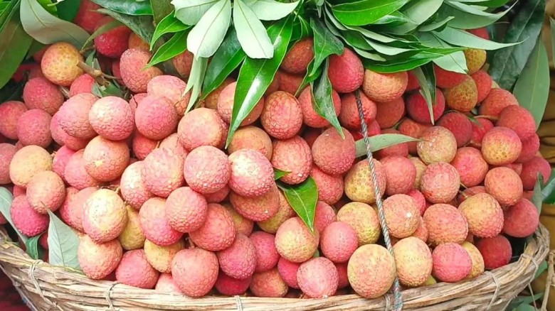 দিনাজপুরে এক লিচু ১১ টাকা