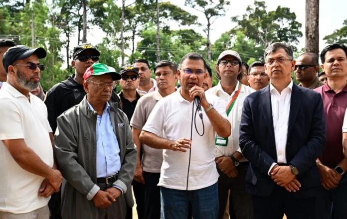 আসুন আমাদের সন্তানদের বুক ভরে শ্বাস নিতে একটি করে গাছ লাগাই: প্রধানমন্ত্রী