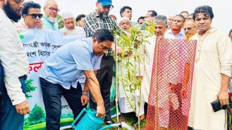 শিবপুরে বৃক্ষরোপণ কর্মসূচি উদ্বোধন করলেন মনজুর এলাহী এমপি