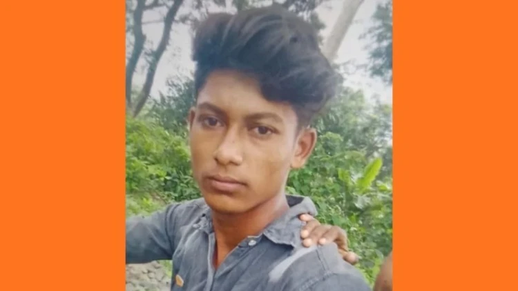 বাংলাদেশি যুবককে ধরে নিয়ে গেল বিএসএফ