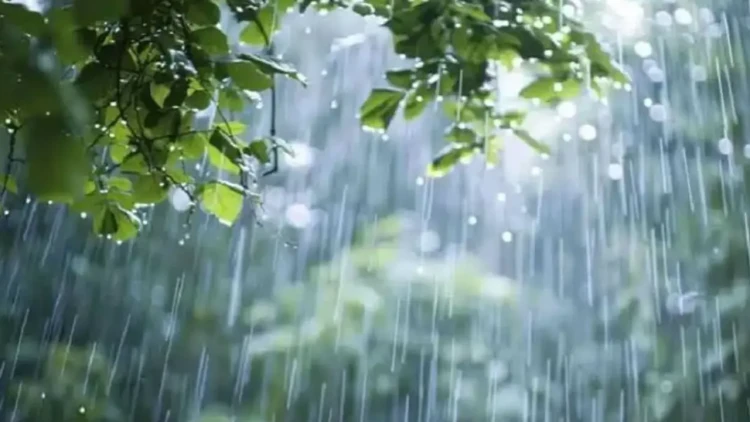 সারাদেশে বজ্রসহ বৃষ্টির পূর্বাভাস দিল আবহাওয়া অধিদপ্তর