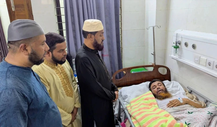 মাজারে হামলায় দোষীদের বিচারের দাবি জামায়াত নেতা সেলিম উদ্দিনের