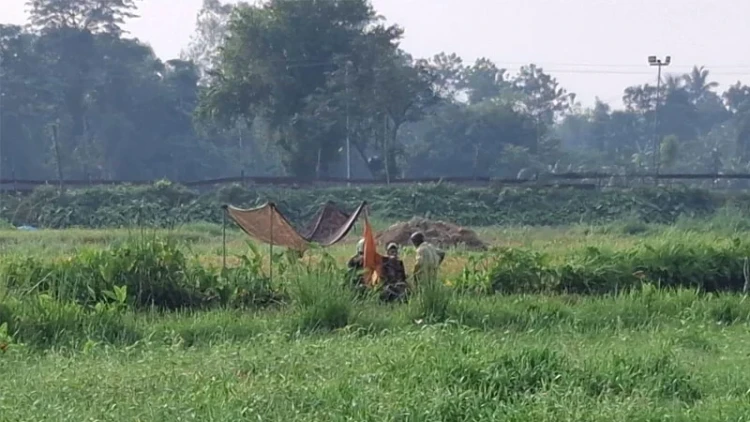 বিজিবির প্রতিরোধের মুখে সেই বৃদ্ধকে ফিরিয়ে নিল বিএসএফ