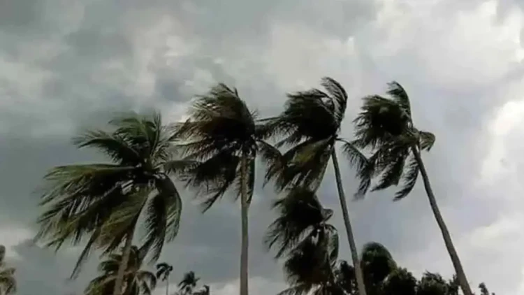 ৯ অঞ্চলে ঝড়ের পূর্বাভাস: নদীবন্দরে ১ নম্বর সতর্ক সংকেত