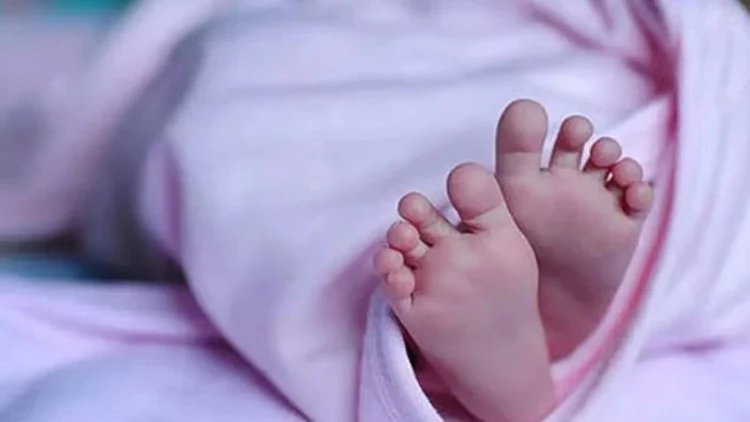 ডাস্টবিন থেকে নবজাতকের লাশ উদ্ধার