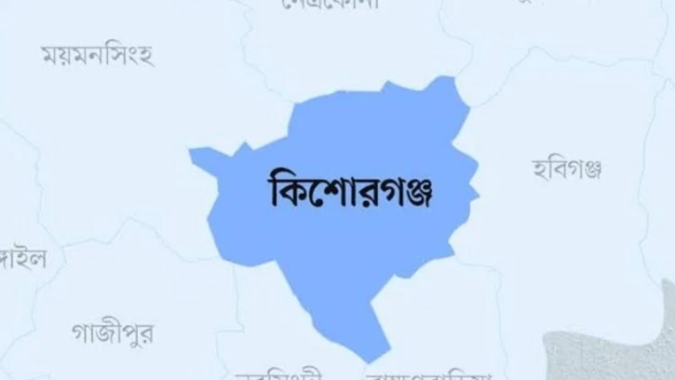 কিশোরগঞ্জে বেপরোয়া মাদক সিন্ডিকেট: জামিনে বের হয়ে বারবার ফিরছে অপরাধে