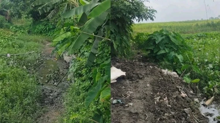 স্বাধীনতার পাঁচ দশকেও  রাস্তা মেলেনি ওয়ার্ডবাসীর