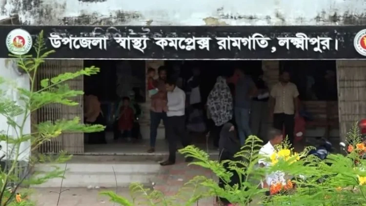 লক্ষ্মীপুরে পুকুরে ডুবে দুই চাচাতো ভাইবোনের মৃত্যু