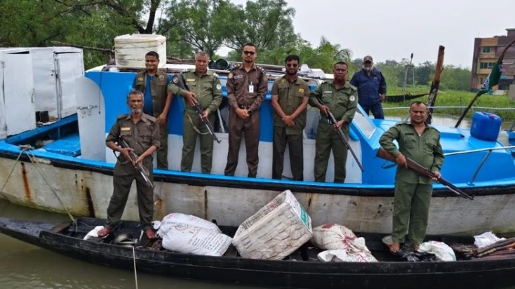 সুন্দরবনে বিষ দিয়ে শিকার করা চিংড়ি জব্দ