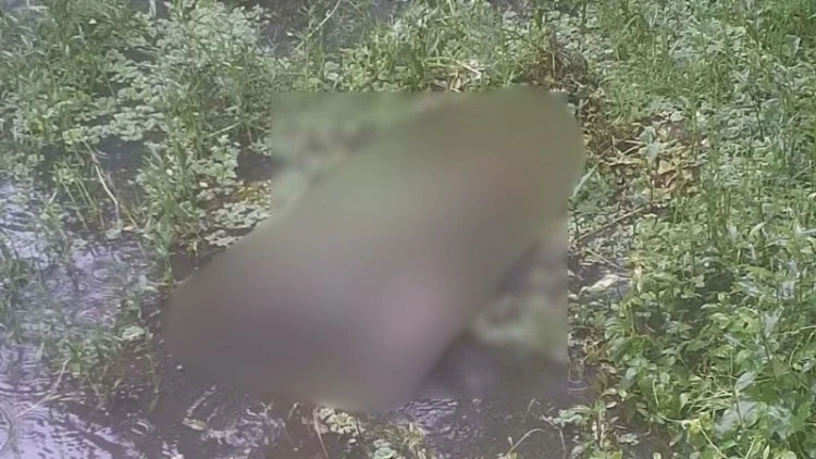 ডোবা থেকে নিখোঁজ যুবকের লাশ উদ্ধার