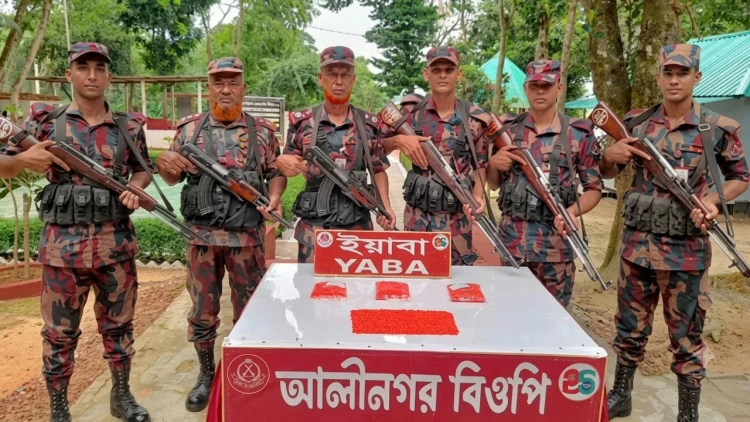বিজয়নগরে ২০ হাজার পিস ইয়াবা রেখে পালিয়েছে কারবারি