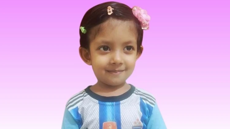 সোনাগাজীতে ভিমরুলের কামড়ে আহত শিশুর মৃত্যু