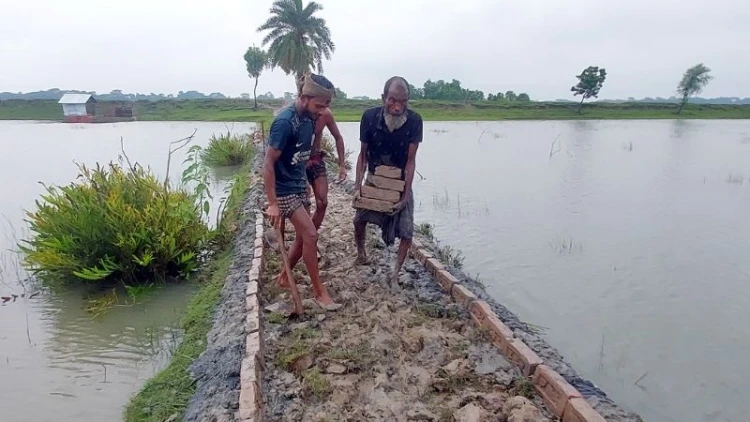 মোরেলগঞ্জে নিজ উদ্যোগে ১২০০ ফুট রাস্তা সংস্কার