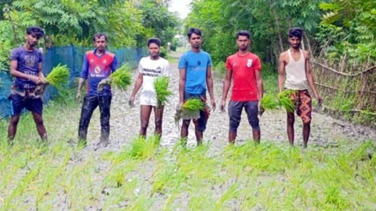 শ্যামনগরে রাস্তা সংস্কারের দাবিতে ধান রোপণ করে প্রতিবাদ