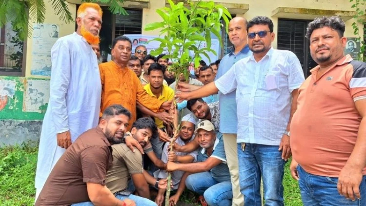 কোটালীপাড়ায় স্বেচ্ছাসেবক দলের প্রতিষ্ঠাবার্ষিকীতে বৃক্ষরোপণ কর্মসূচি অনুষ্ঠিত