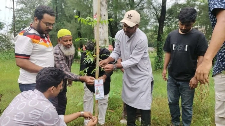 নোবিপ্রবি ছাত্রদলের ৪৮টি ‘জিয়া ট্রি’ রোপণ