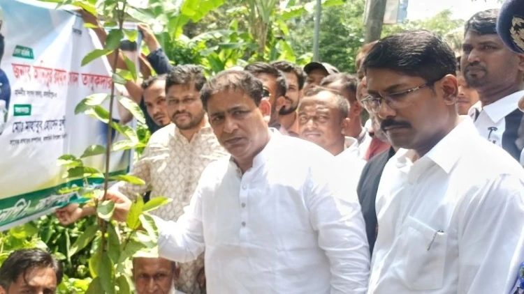 কালকিনি ও ডাসারে সপ্তাহব্যাপী বৃক্ষরোপণ কর্মসূচির উদ্বোধন