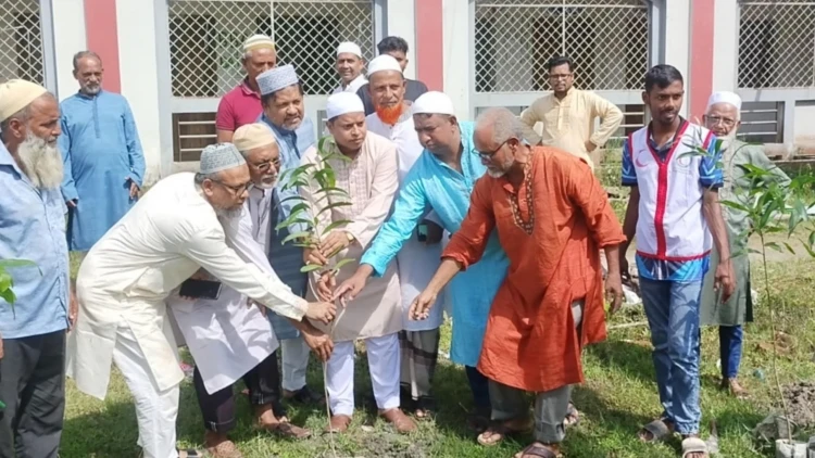 নোয়াখালীতে সোনাপুর কলেজ জামে মসজিদের উদ্বোধন ও বৃক্ষরোপণ