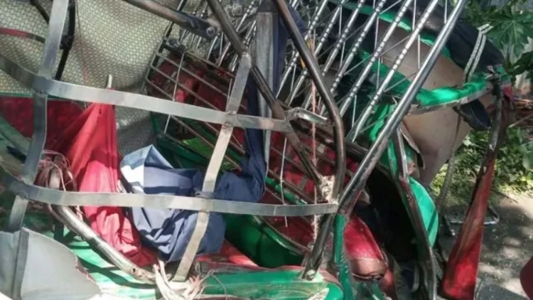 ত্রিশালে সড়ক দুর্ঘটনায় চালকসহ নিহত ২